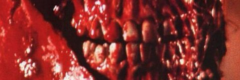 Kat @mortuarybabe666 cover picture