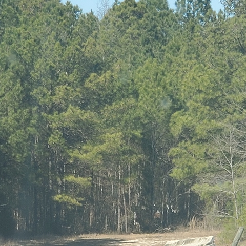 Motown Trucker @motowntrucker cover picture