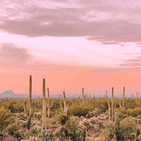 Mousat @mousat cover picture