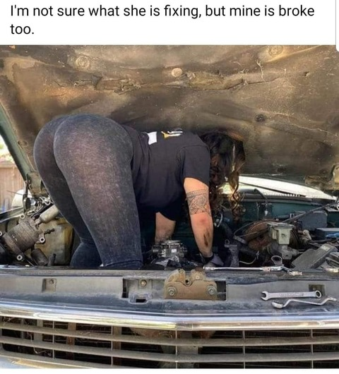 Dai Dai @mrofficer5219 cover picture