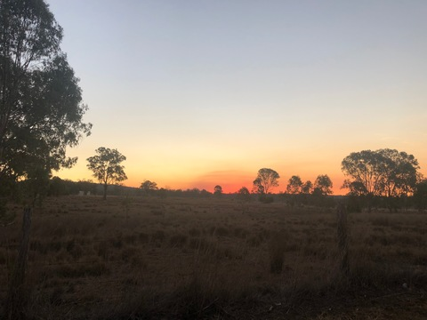 MrsPengriffy @mrs_pengriffy cover picture