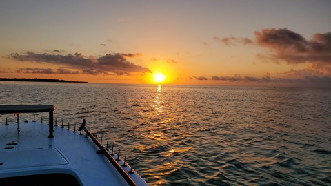 Mr.T Bear @mrtbear cover picture