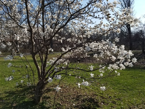 MikeyLikesU69 @msc14607 cover picture