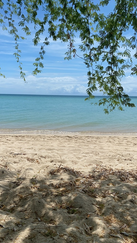 Ms C @mscaribbean cover picture