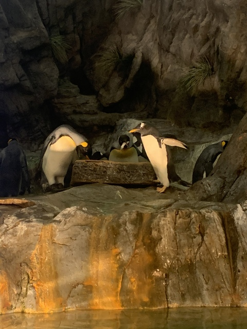 Msmithyyy @msmithyy2 cover picture