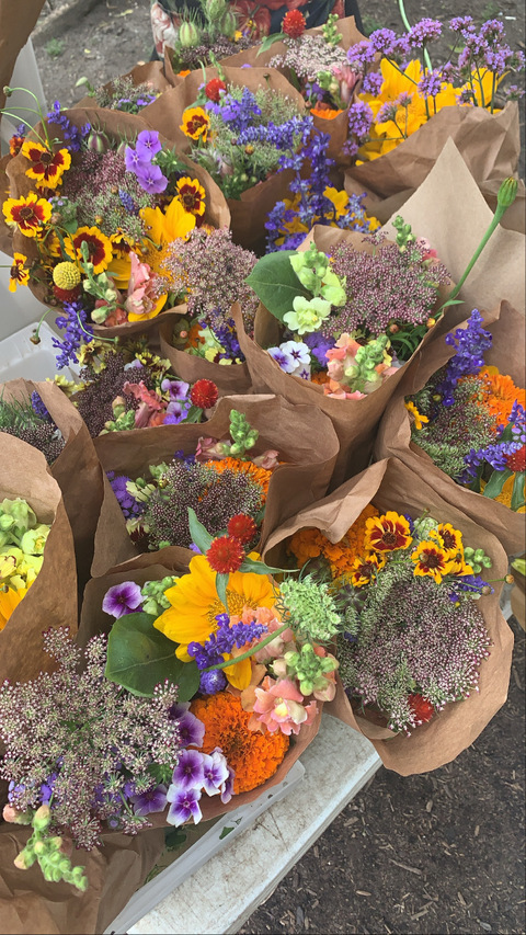 Miss Reed @msreed cover picture