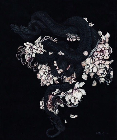 Clark @mulatto cover picture