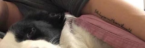 快乐风男（Exhib） @muleicui cover picture