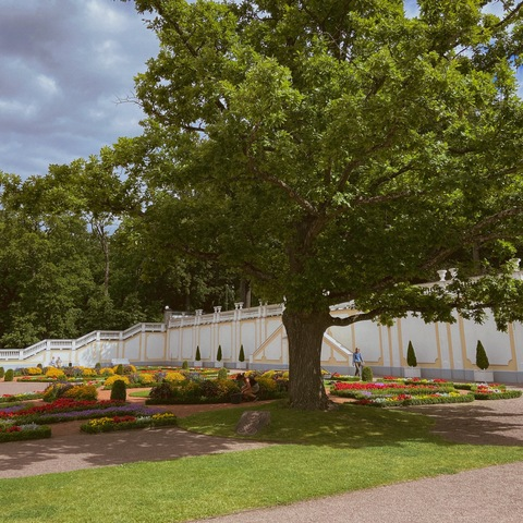 Di 🦋 @myrmyrdi cover picture