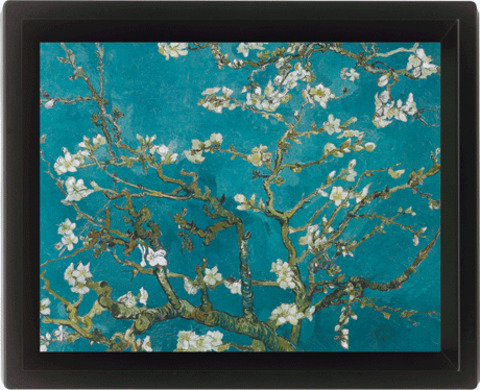 🦇 Nacho 🦇 @nachofrien cover picture