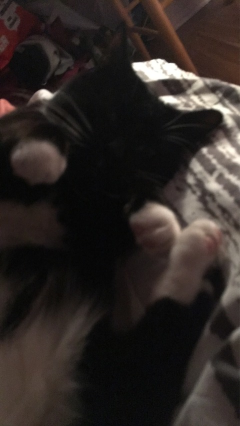 Bruv @naomieee cover picture