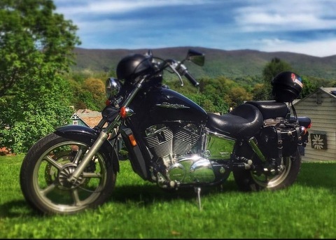 Brewster @nashaggy cover picture