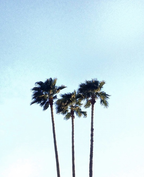 Ernest Rodriguez @nastinesto714 cover picture