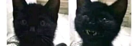 Natasha @natasha_shita cover picture