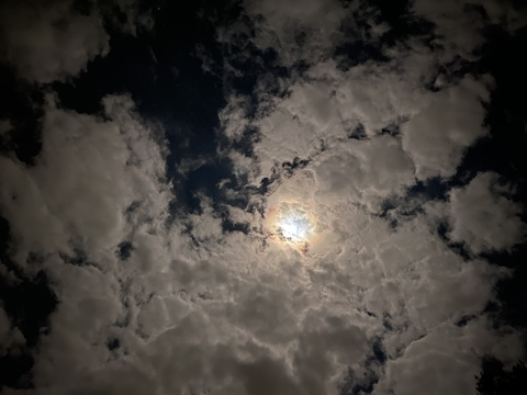 Natasha Star @natashastar cover picture