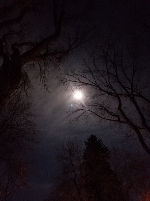 natasja @natasja cover picture