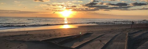 Nattella @nattellaonbread cover picture