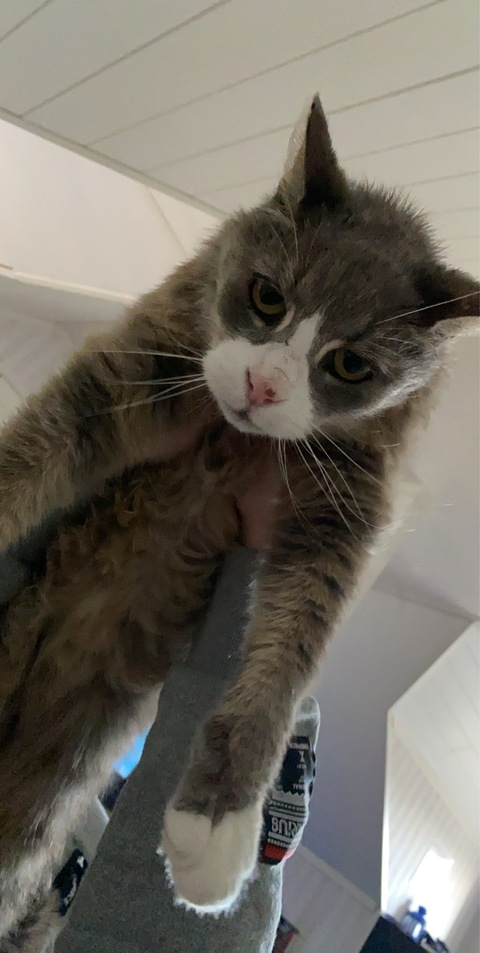 Nathalie Stigen Trodal @nattisww cover picture