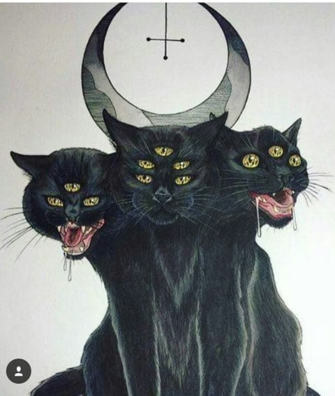 Nani @nbaked cover picture