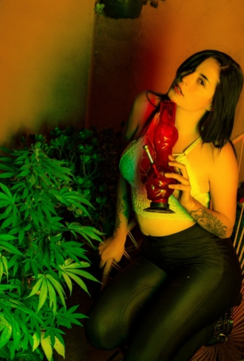 Necroshine @necroshine cover picture