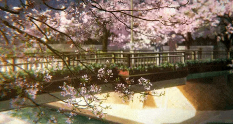 Kitty @needykitten cover picture