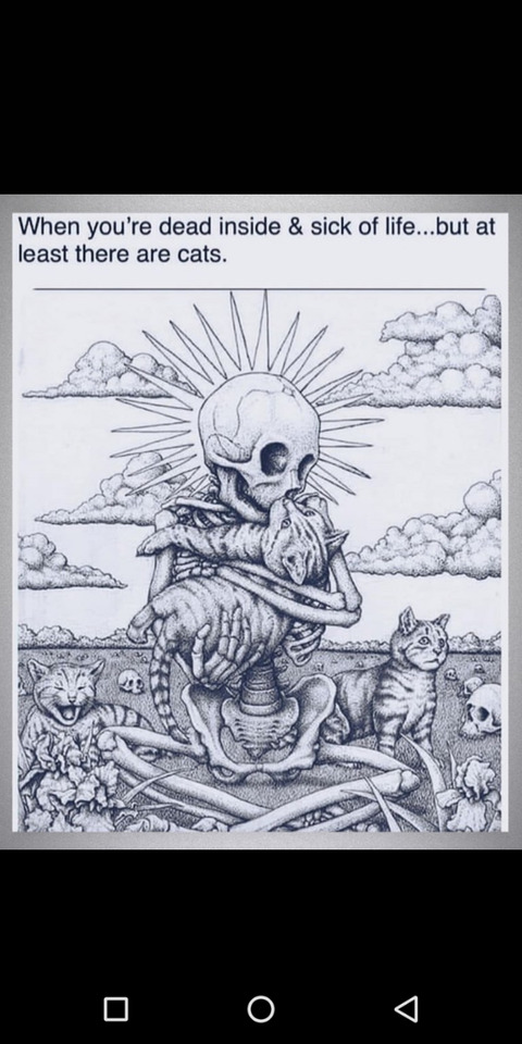 Neshama @neshama cover picture