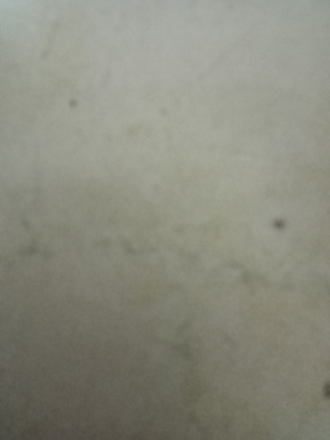 Nessa @nessabb cover picture