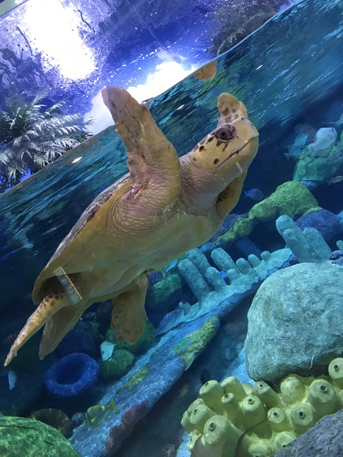 Nevaeh @nevaeh890 cover picture