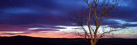 nicolas @nicholass221 cover picture