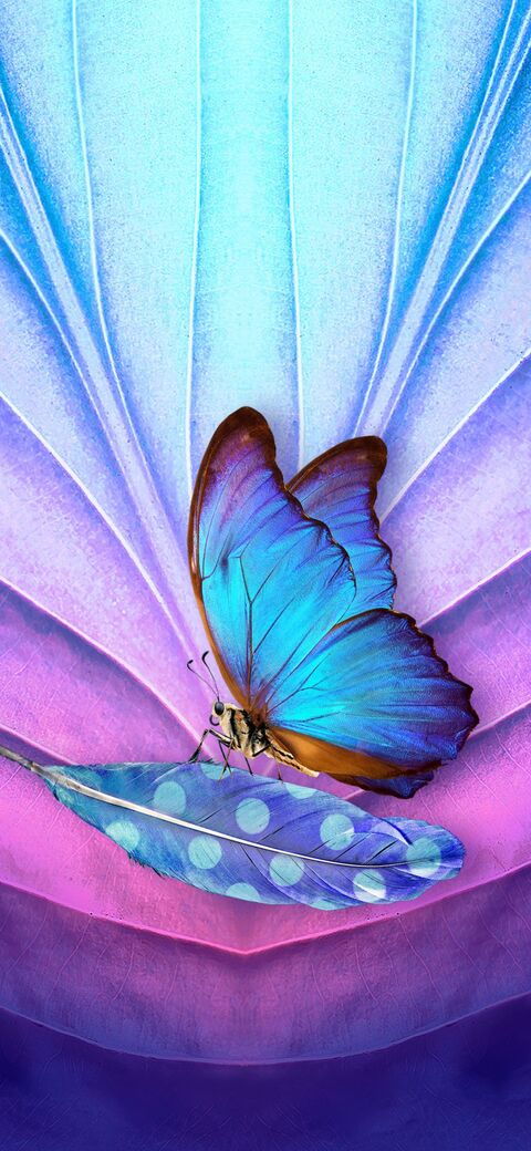 Nicky Jackson @nicky4you cover picture