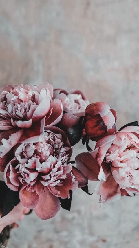 Nicole Terasa @nicole_foxxx cover picture