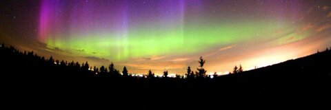 Nikia @nikia cover picture