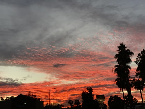 Nikki @nikkijamaicanmehappy cover picture