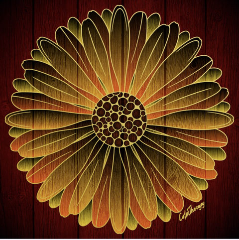 Nikki @nikkiriley cover picture