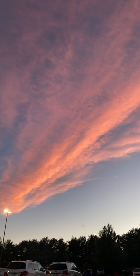 Nik Laura @niklaura_ cover picture