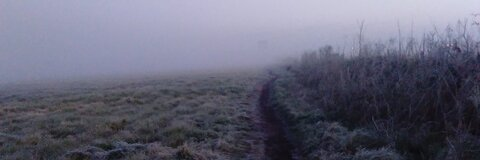 Nekkee Vlogs @nikyy cover picture