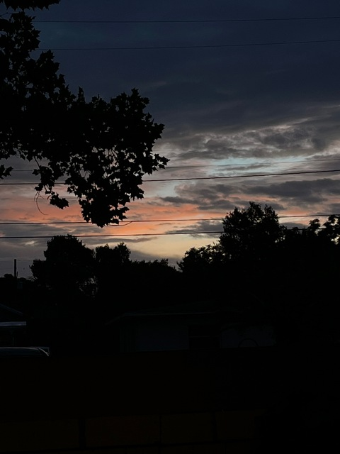 Nini @nini1k cover picture