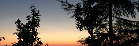 N🌹 @nlhatso cover picture