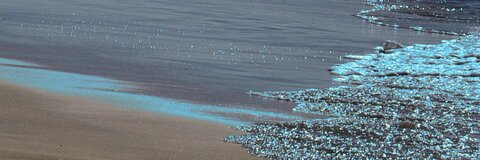 v i r g o @nohemiblu cover picture