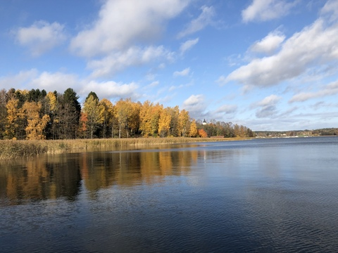 Nom-Noms @nom-noms cover picture