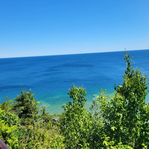 Northern Beastie @northernbeastie cover picture