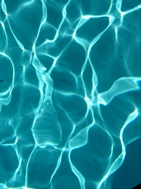 ❁ᔕᕼᎩ❁ @notsoshyx cover picture