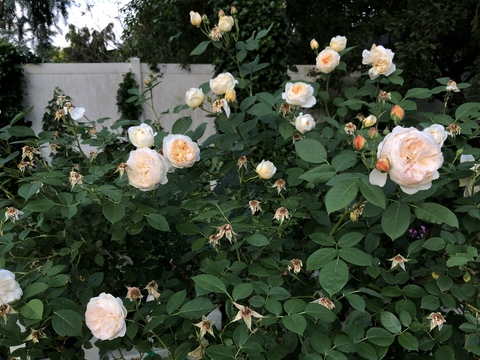 nthingimprtnt @nthingimprtnt cover picture