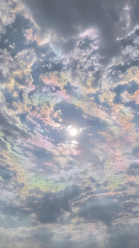 ntrujillo @ntrujillo3 cover picture