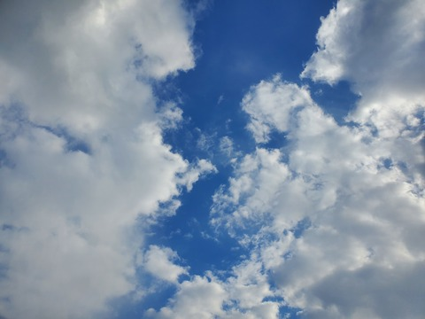 ☆oakley☆ @oakley cover picture