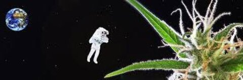 Obama @obama cover picture