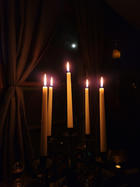 OctoberLvst @octoberlvst cover picture