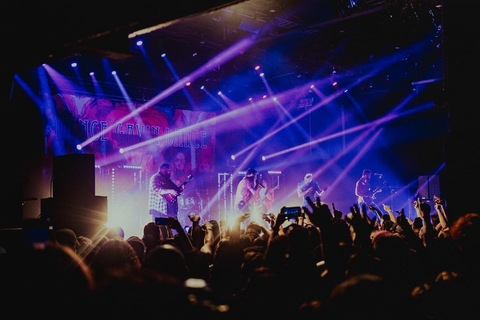 Wolfie Paws @officialwolfiepaws cover picture