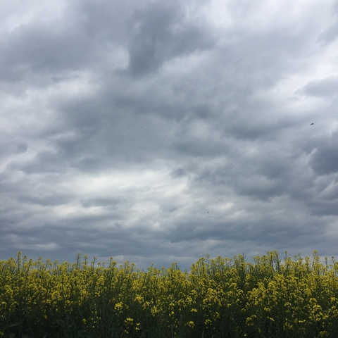 OkayVe @okayve cover picture