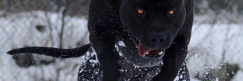 ☾ @olympiancxm cover picture